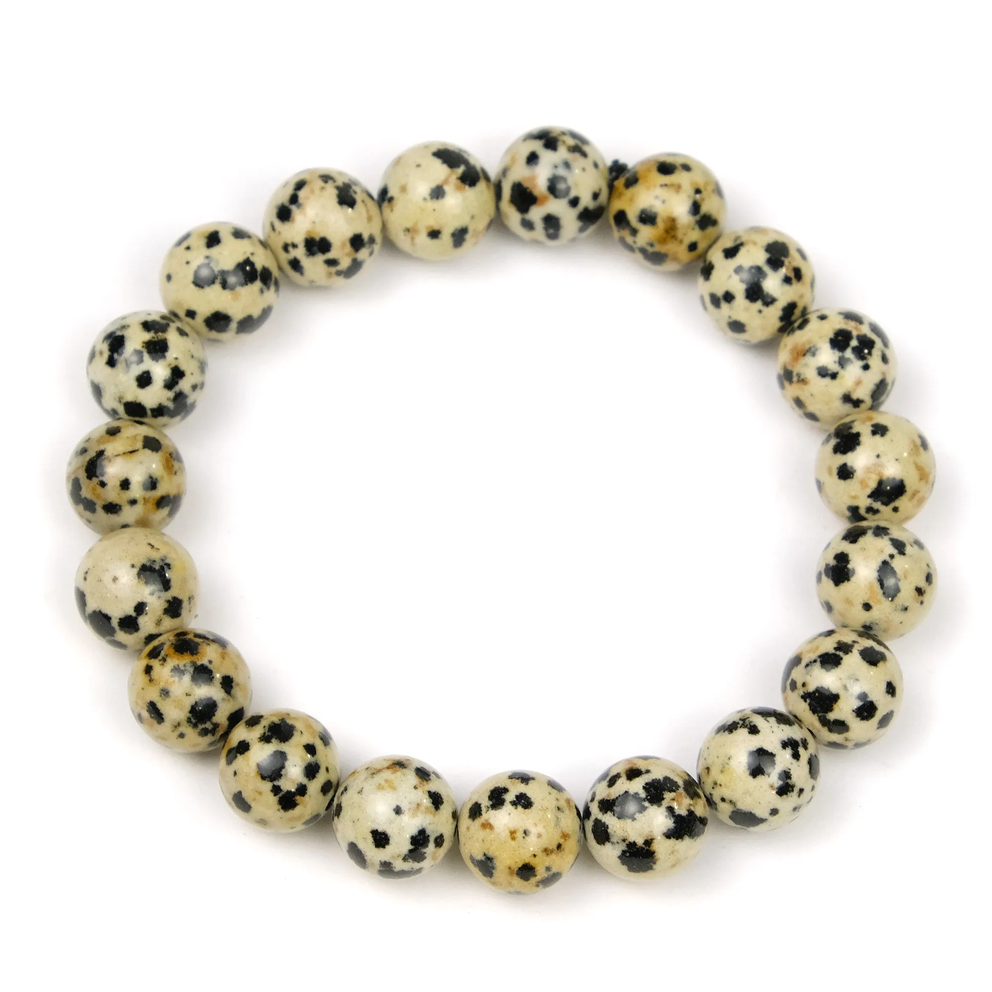 Dalmatian Jasper 10mm Rounds Stretch Bracelet