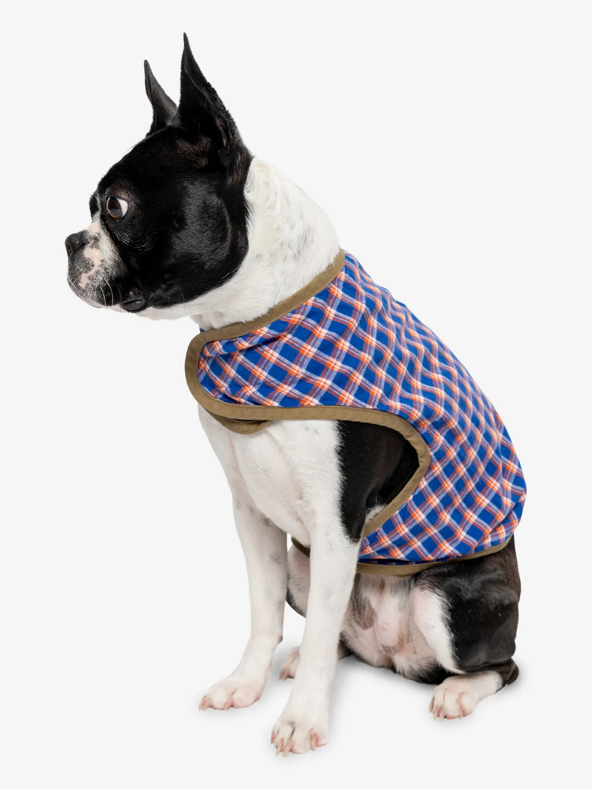 Insect Shield for Pets Trail Dog Vest