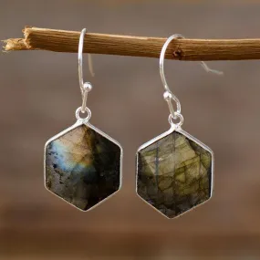 Ngiiny Labradorite Drop Earrings