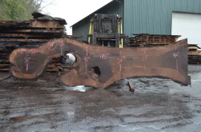 Oregon Black Walnut Slab 030321-06