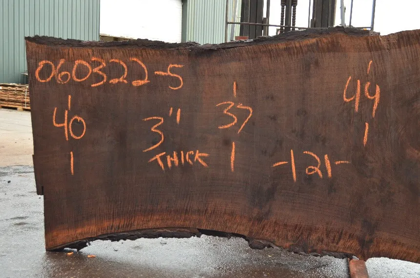 Oregon Black Walnut Slab 060322-05