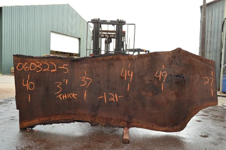 Oregon Black Walnut Slab 060322-05