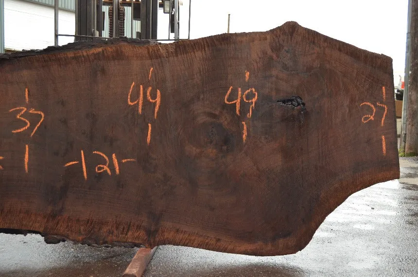 Oregon Black Walnut Slab 060322-05