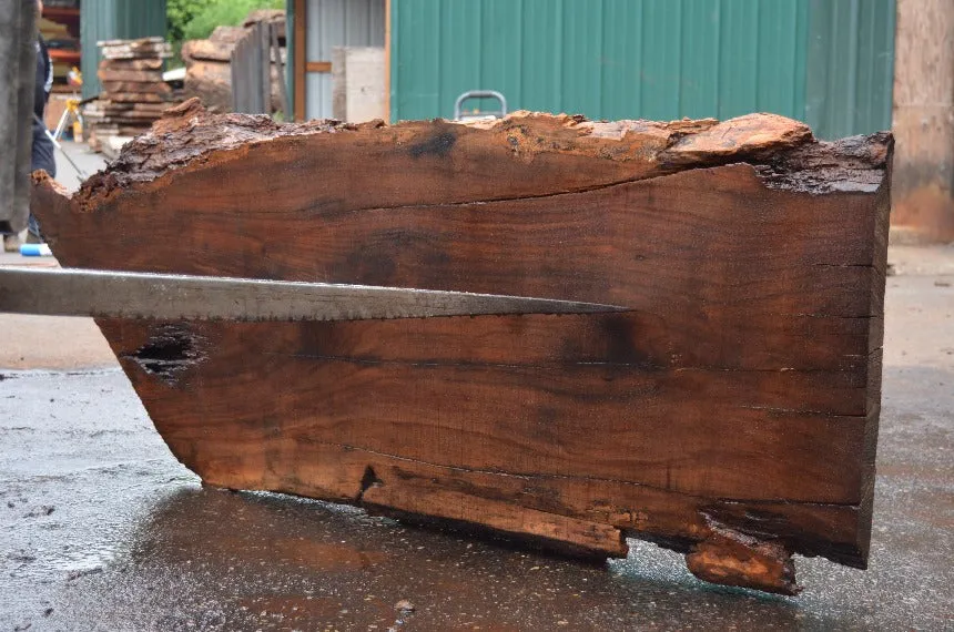 Oregon Black Walnut Slab 062922-08